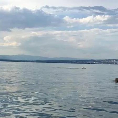 Plein Sud Montagne Et Lacs アパート Habère-Poche